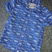 Супер рубашка с акулами Next,по бирке 6лет,состояние новой!!