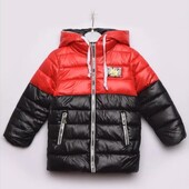 Куртка єврозима.