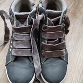 Красивые деми ботинки Tom tailor р 33