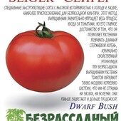 Низкорослый детерминантный сорт томата Seiger, один лот 20 семян