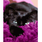 Картина за номерами Чорний котик в покривалі HH058