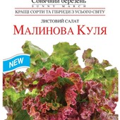 Салат листовий Малинова куля. 1000 насінин!!! Для цілорічного вирощування.