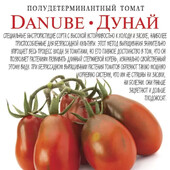 Суперстійкий, солодкий томат "Дунай" 30 насінин.