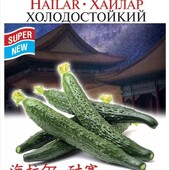 Огірок Хайлар холодостійкий. Довгоплідний плетистий огірок.