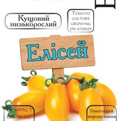 Томат Елісей. Низькорослий, ранній, урожайний, не тріскає.