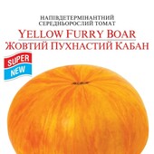 Томат Жовтий пухнастий кабан 25 насінин.