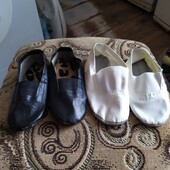 Чешки