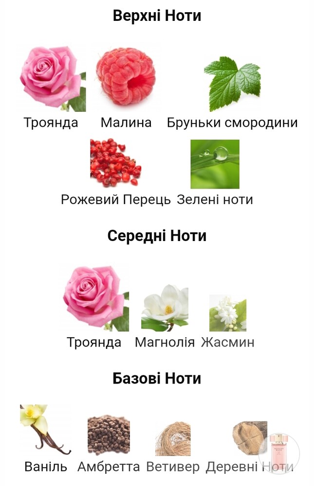 Фото №2