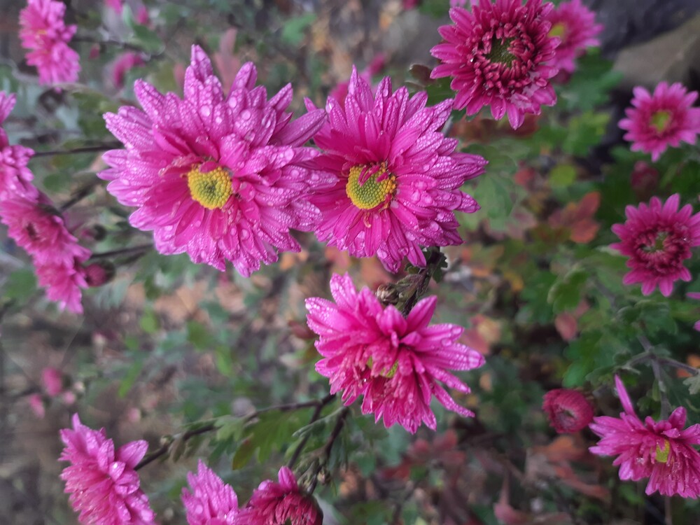 Фото №2