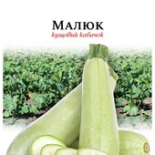 скоростиглий кущовий кабачок Малюк, велика пачка 10г