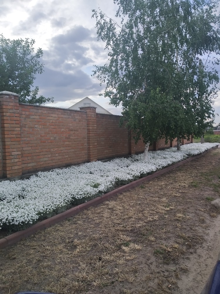 Фото №2