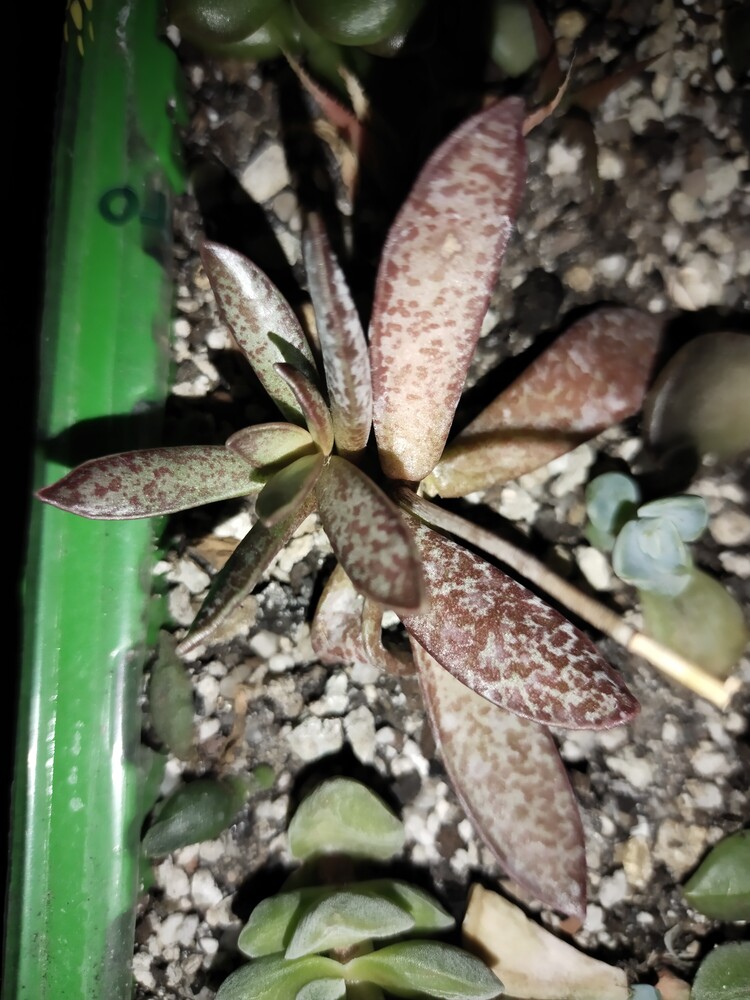 Фото №2