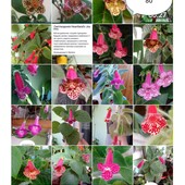 Фото №3