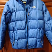 Куртка The north face оригінал
