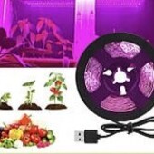 Фито лента для комнатных растений, 3м