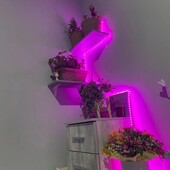 Фито лента для комнатных растений, 3м
