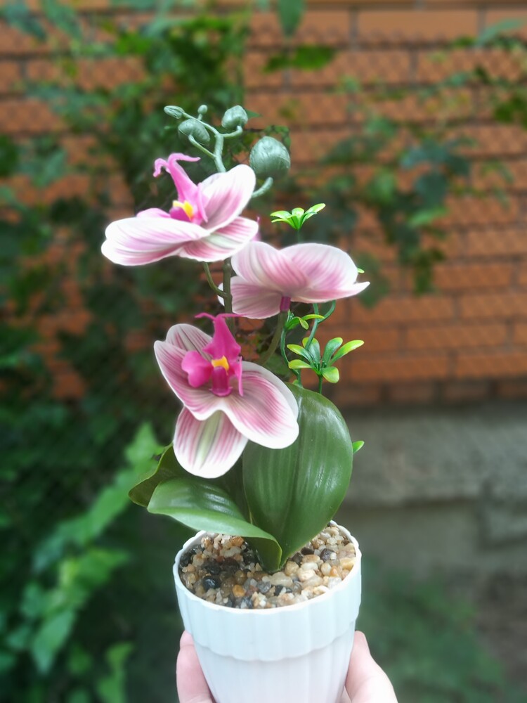 Фото №2