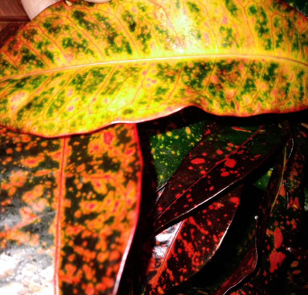 Фото №2