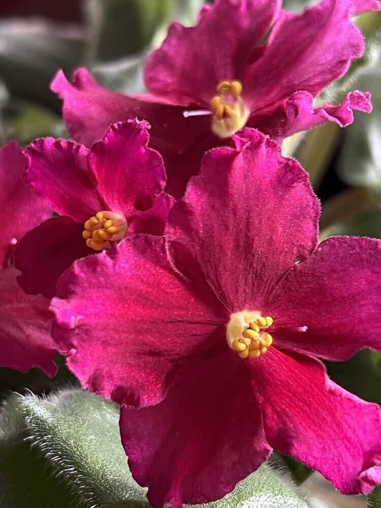 Фото №2