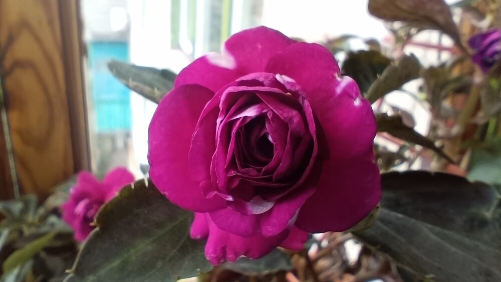 Фото №2