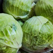 Капуста молода лот 10 кг
