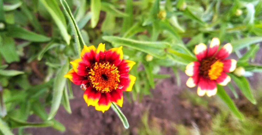 Фото №2