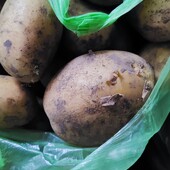 Картопля домашня лот 10 кг