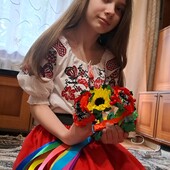 Вишиванка та спідниця