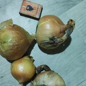 Домашні овочі разом цибуля 2 кг і морква 4 кг