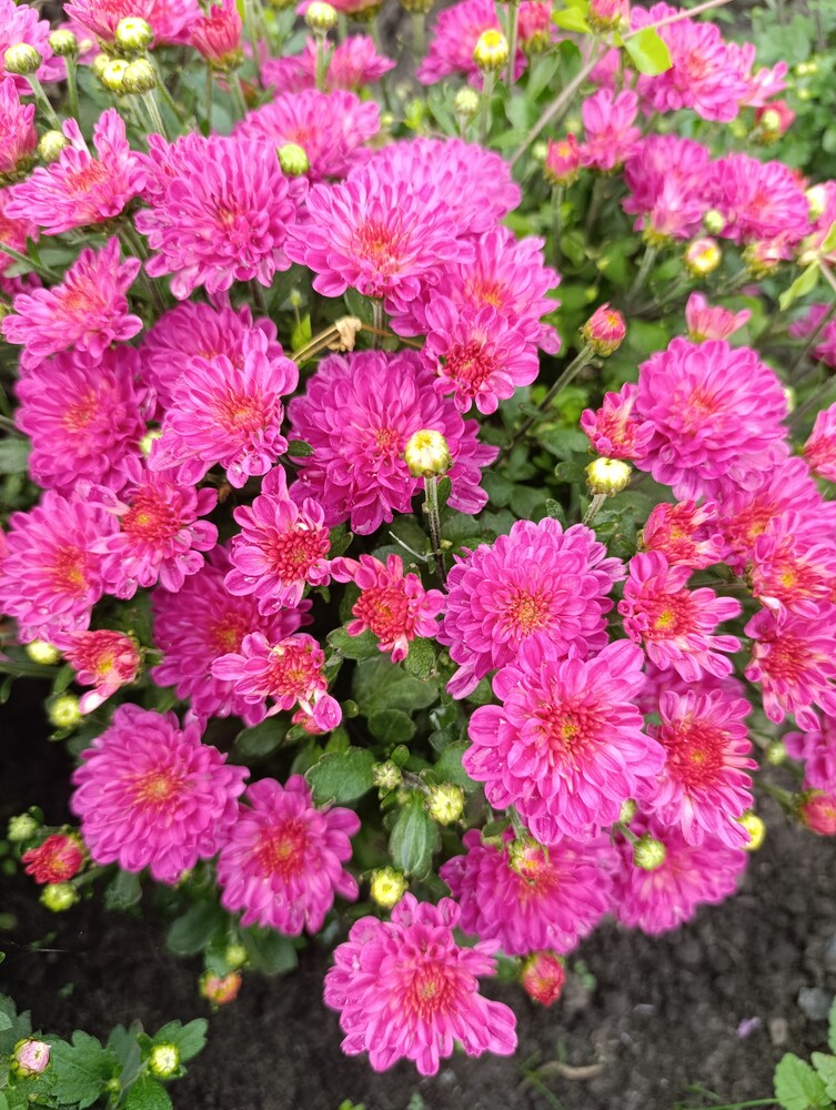 Фото №2
