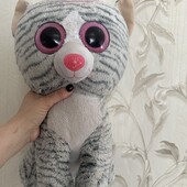 Кіт глазастик великий