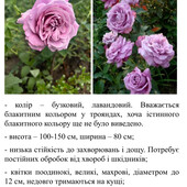 Фото №3