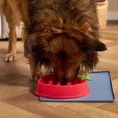 Миска для уповільнення поїдання корму