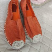 Яскраві сліпони еспадрільї 41р