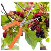 Секатор прямой садовый 21 см