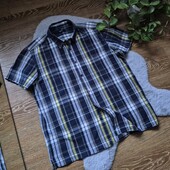 Брендова сорочка, Л