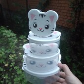 Набор емкостей 4шт