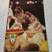 Календарик СРСР 1984