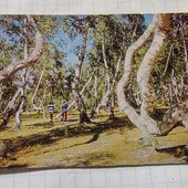 Календарик СРСР 1979