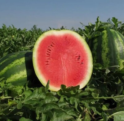 Фото №1 class=