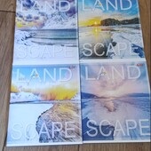 Тотальная распродажа остатков! Тетради в клетку. 96 листов. В лоте 3 штуки!