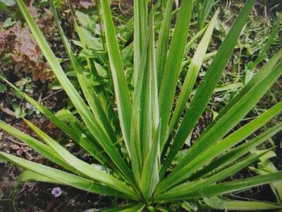 Фото №1 class=