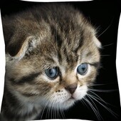 Наволочка (одна на выбор)