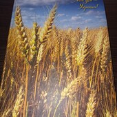 Канцелярська книга 28*20,5*2см