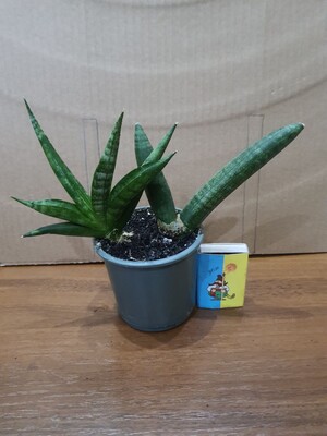 Фото №1 class=