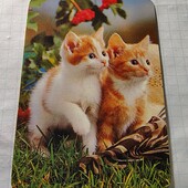 Календарик 1981