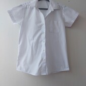 Теніска в школу