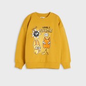 Світшот з начосом.один на вибір.синсей.розмір 122,128,140