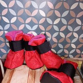 Ботиночки для собачки