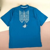 Футболка-вишиванка чоловіча XL-4XL